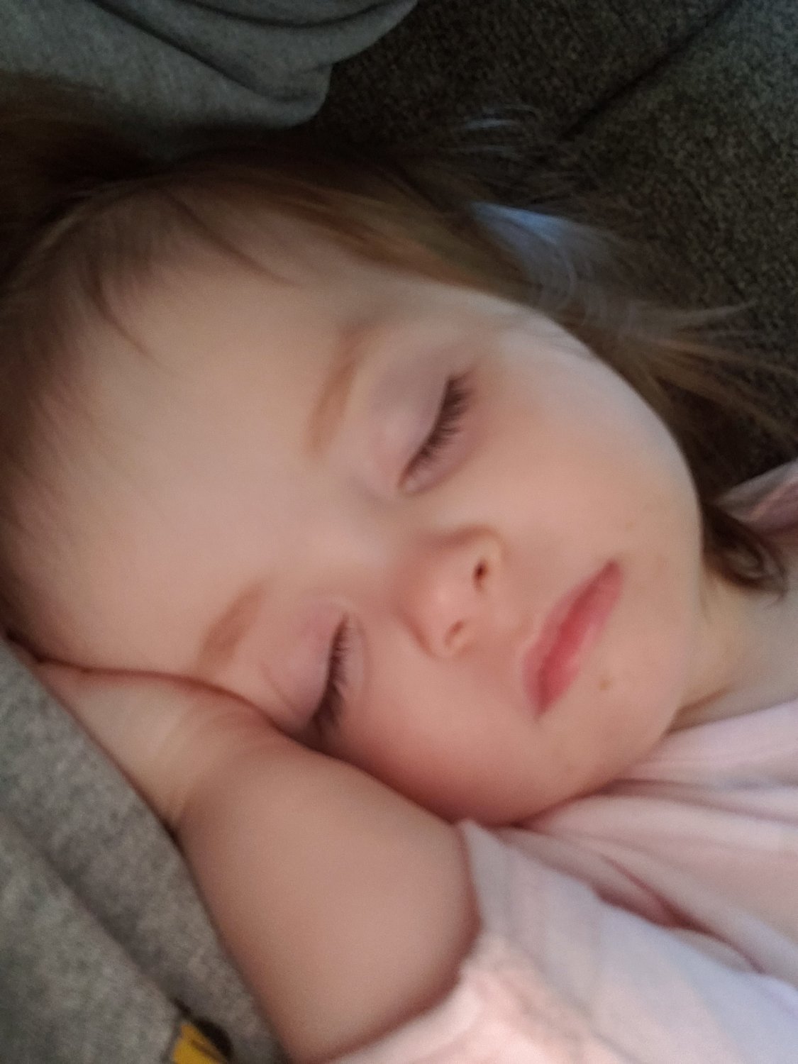 Musicman Is Back banner