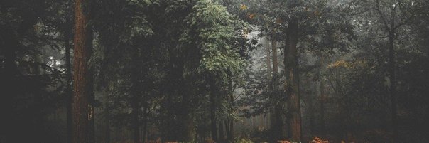 illbeyourbeer's profile banner image