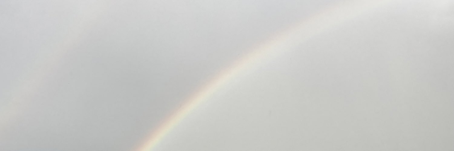 NBSAERho's profile banner image
