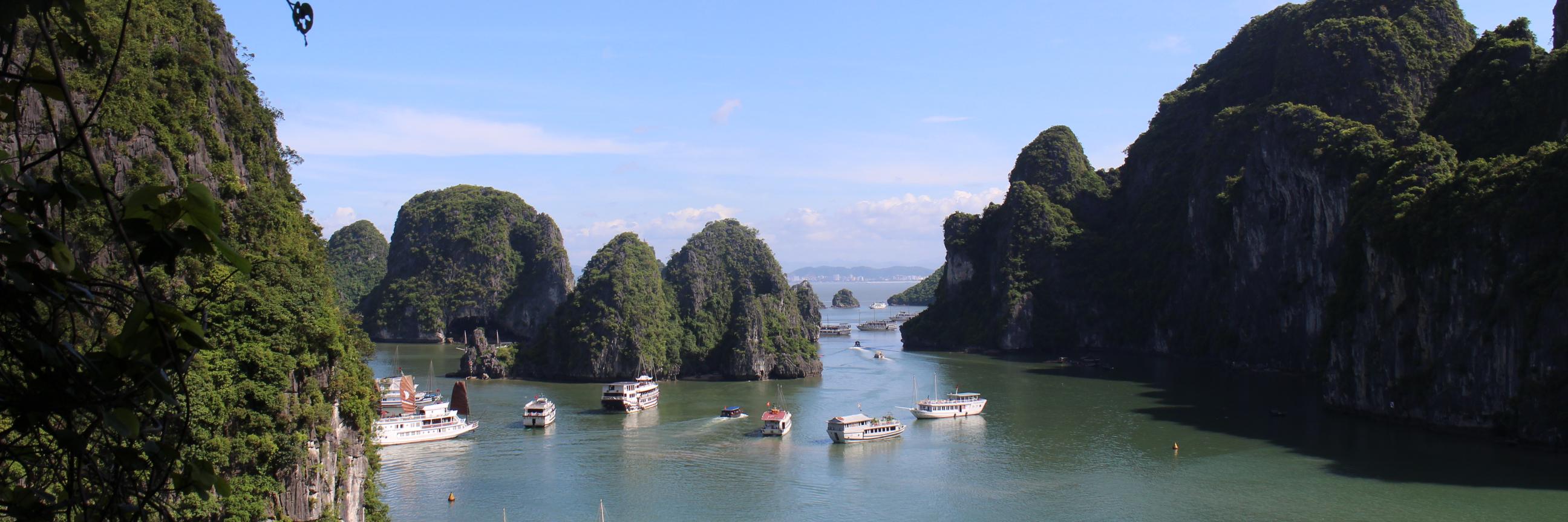 Cilla Giannopoulos banner