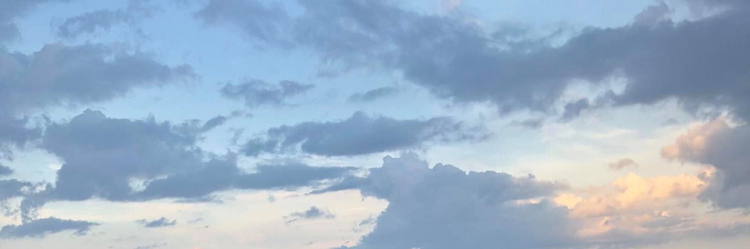 Brian Fitzpatrick banner