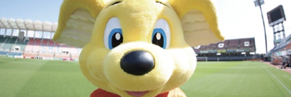 DioPkp's profile banner image