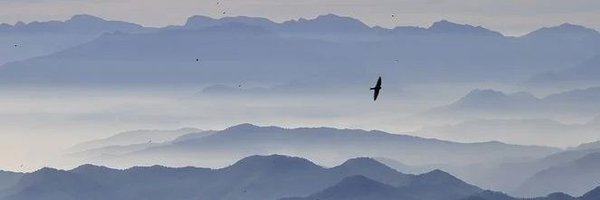 yessir0801 Profile Banner