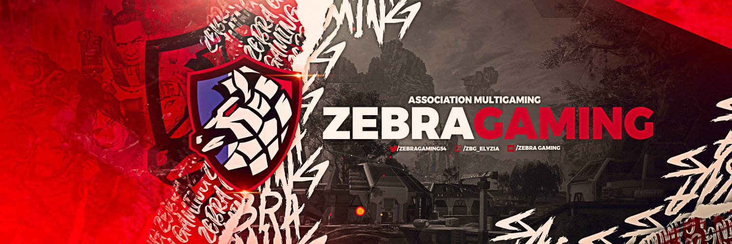 ZeBra Gaming banner