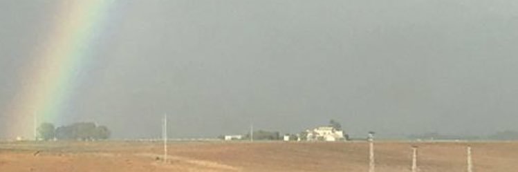 Manu Onieva banner