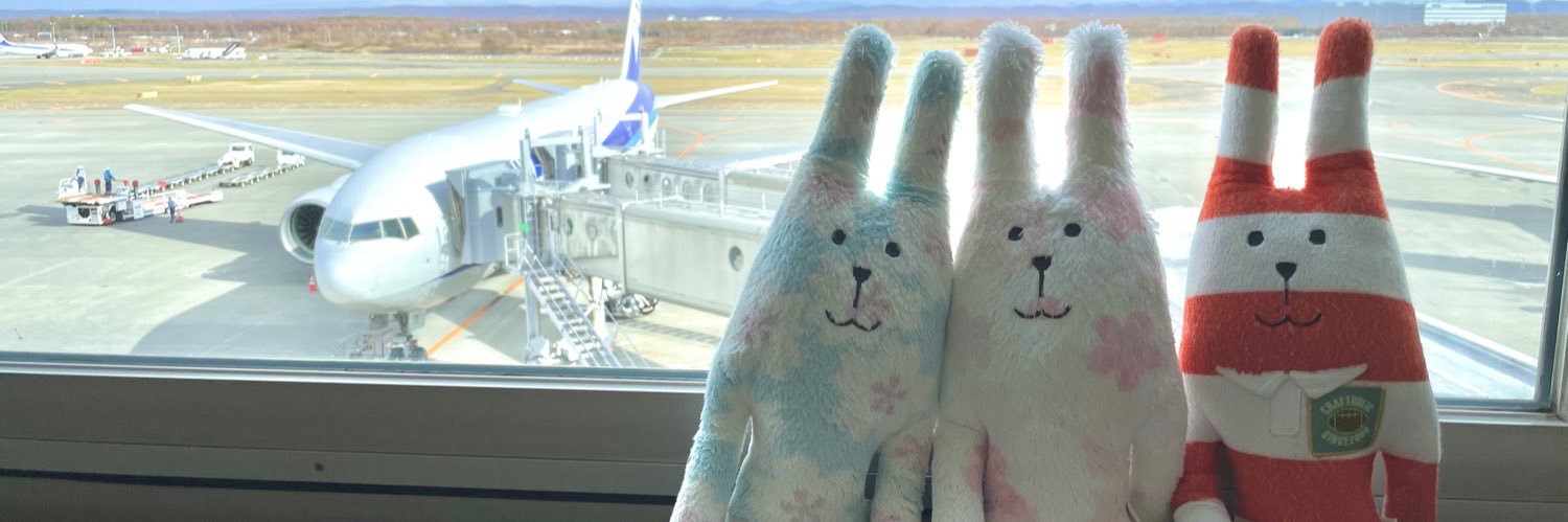 うさぎ🐰 banner