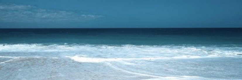 G. banner