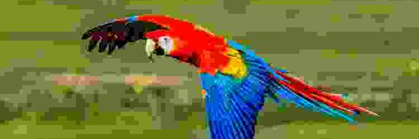 nielsrolf1 Profile Banner