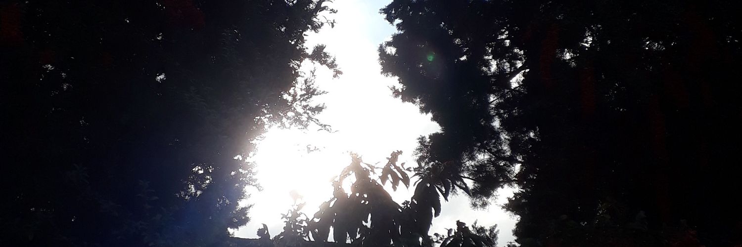 LalMstf's profile banner image