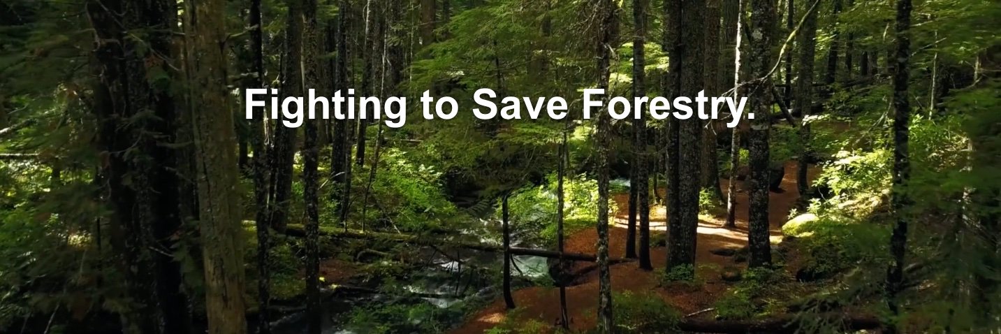 Fight4Forestry's profile banner image