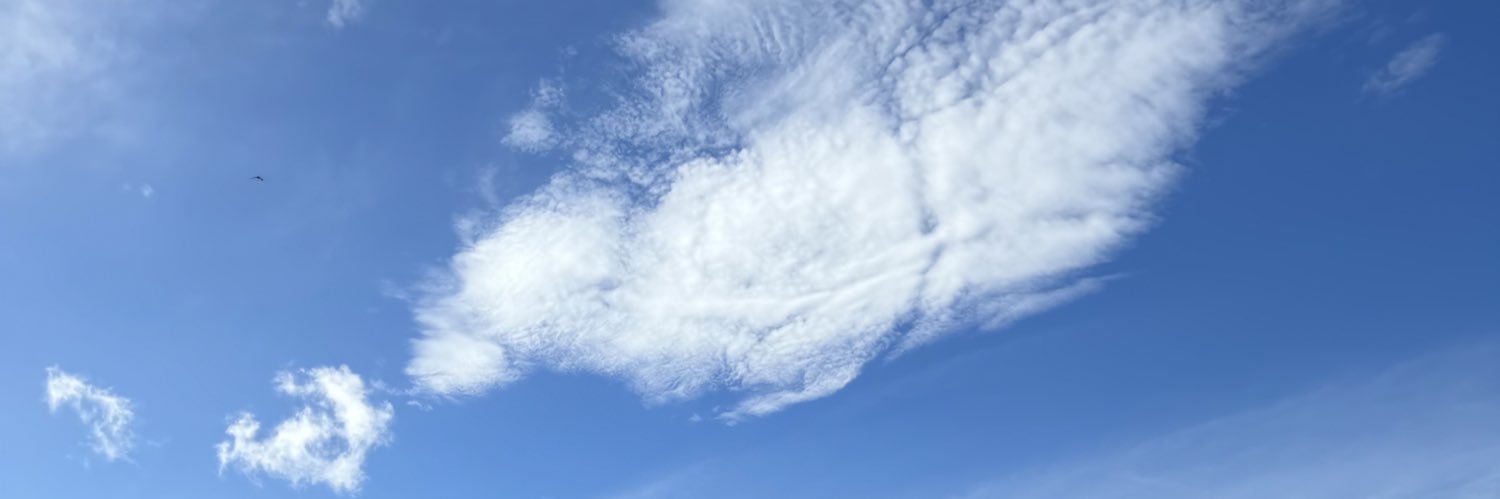 katrinabrgl's profile banner image