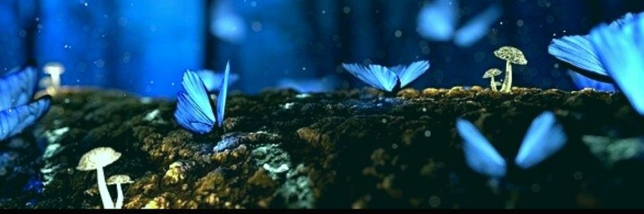 org_trascender's profile banner image