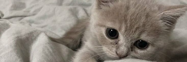 Güneş ☀️💅🏼 banner