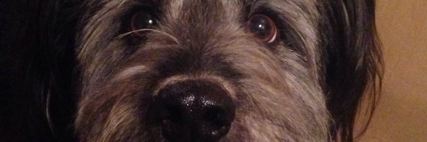 DrCraigyWhoFerg's profile banner image
