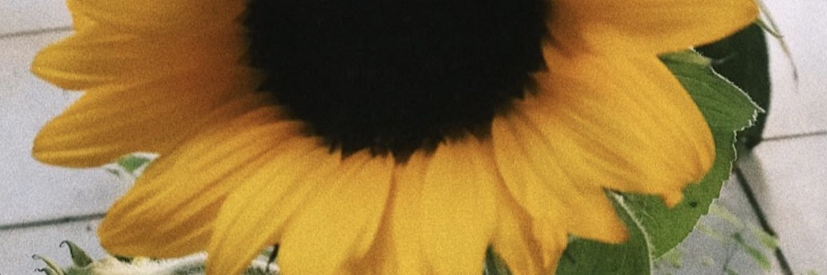Eliana maria banner