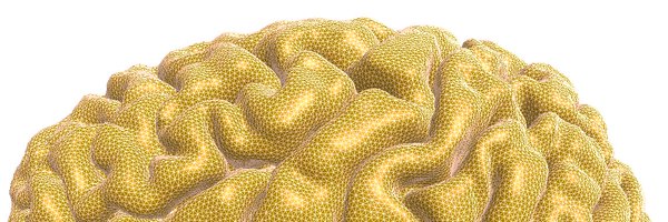 deepmilab Profile Banner