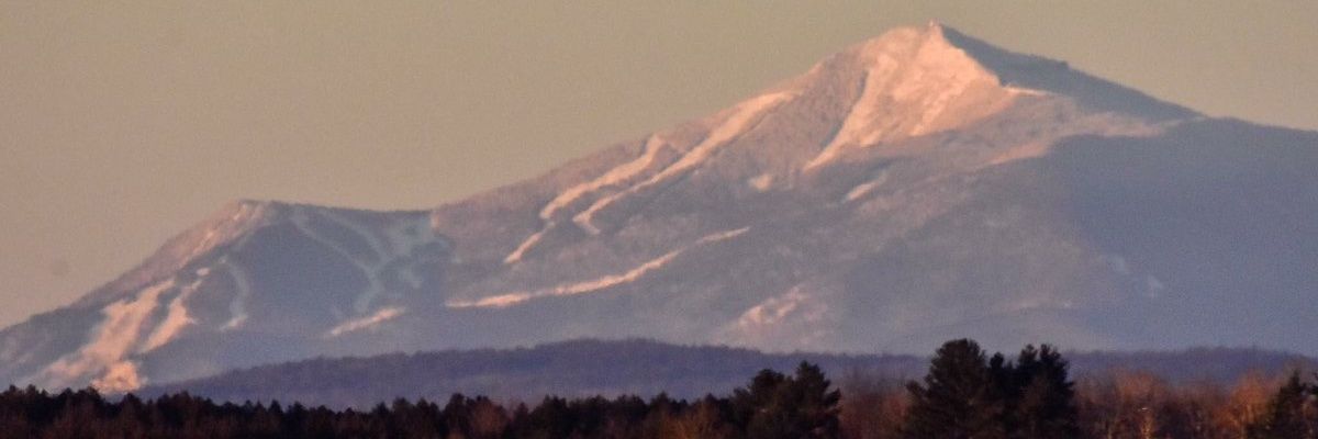 TheDyslexicStoner240 banner
