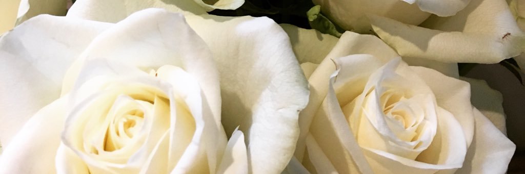 bethanrkench's profile banner image