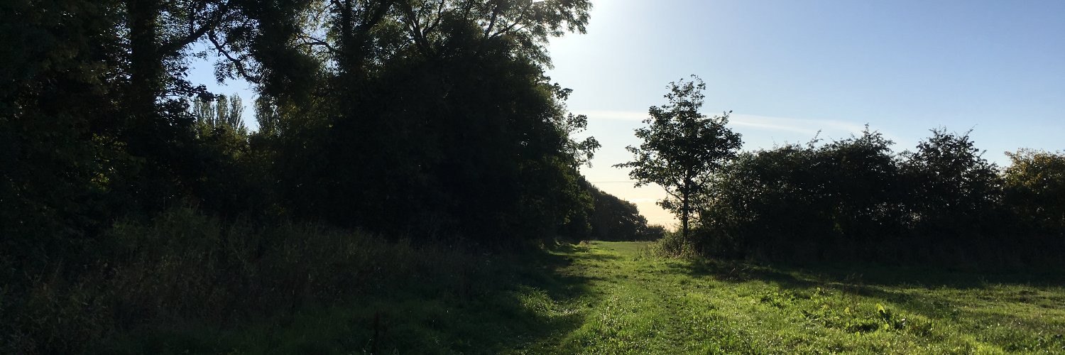 TheStrayField banner