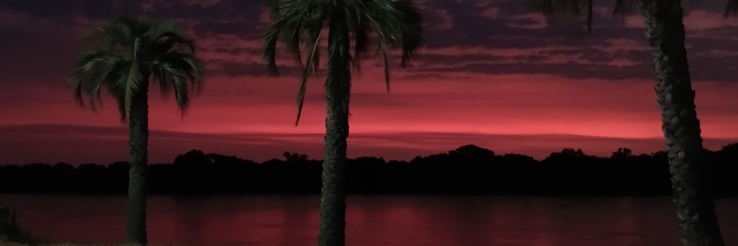 DissSandoval's profile banner image