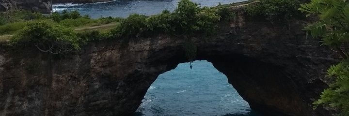 t i a banner