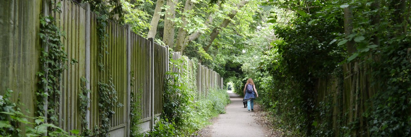 Walk Colchester banner