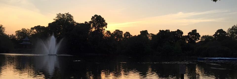 eleanorpeee's profile banner image