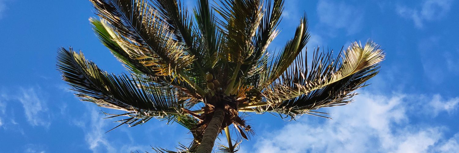vilaetutto's profile banner image