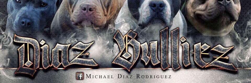 MikeDiaz69's profile banner image