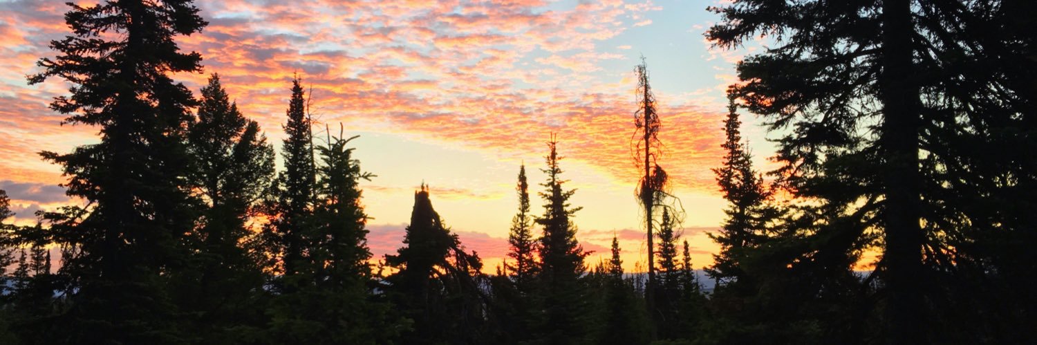 Block Muncher banner