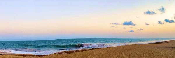 ronniebee3 Profile Banner