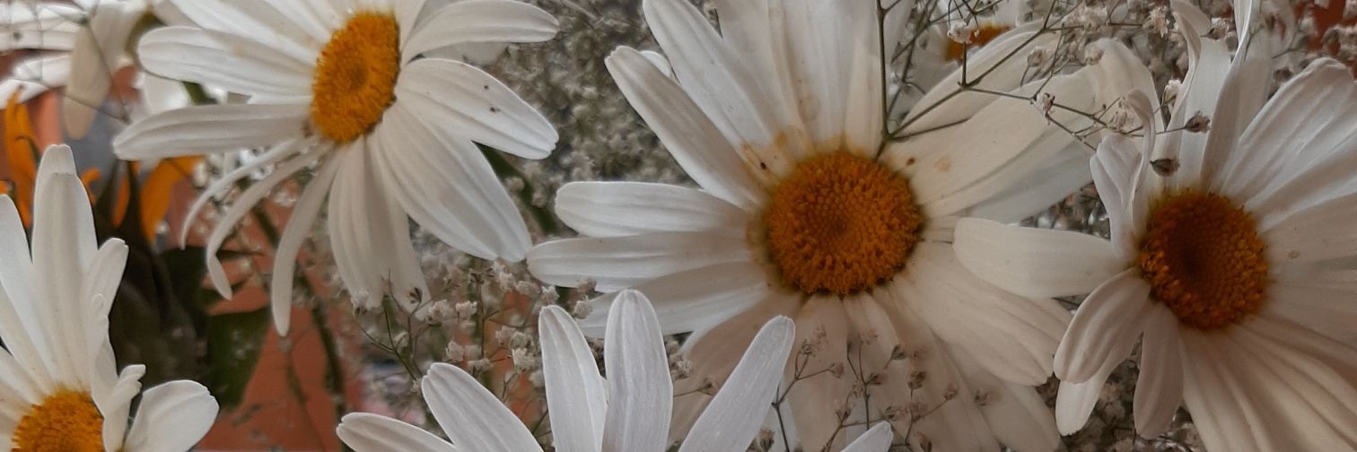 Pilitablank's profile banner image
