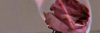 blxxnc's profile banner image