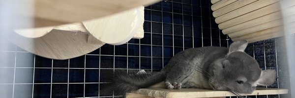 smr_chilla Profile Banner