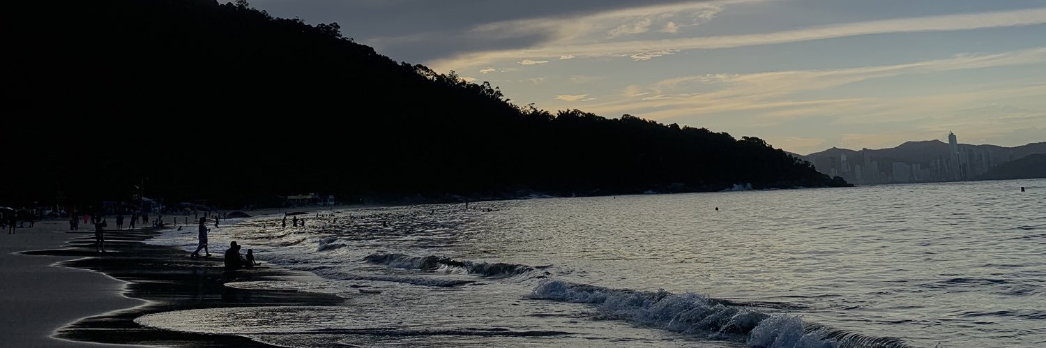 luizaconsull's profile banner image