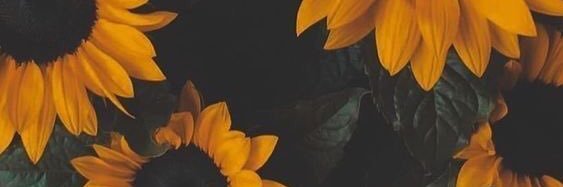 NellyMahiera's profile banner image
