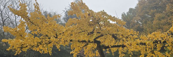 AndrieuxTh Profile Banner