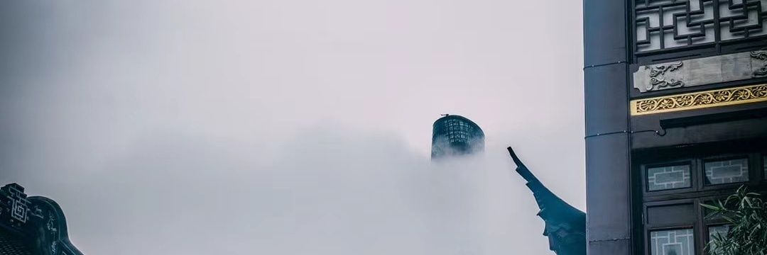 罗宾的小狼 banner