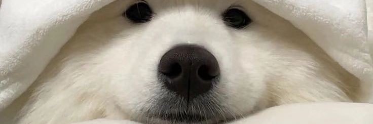 its_mchrbcd's profile banner image
