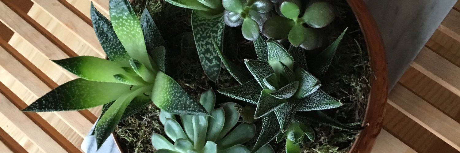 georgiaperkin's profile banner image