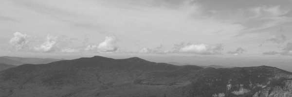 Corey_The_Cat Profile Banner