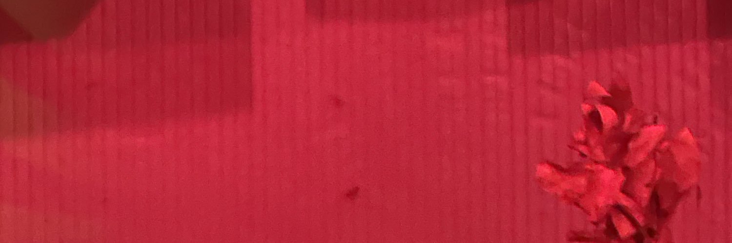r3n4taaa's profile banner image