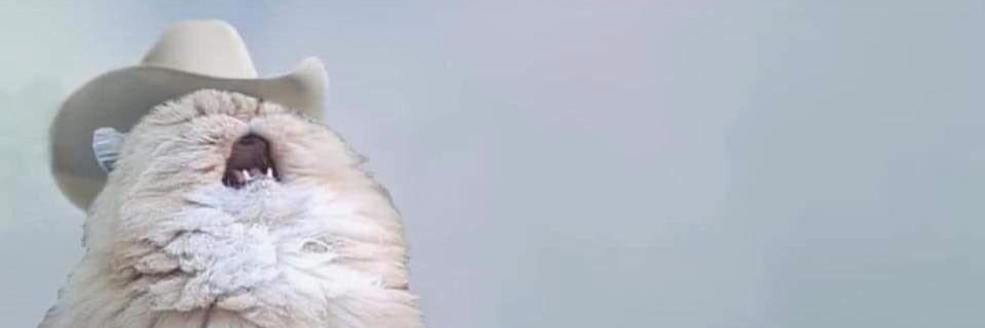 Kave Zon Zote banner