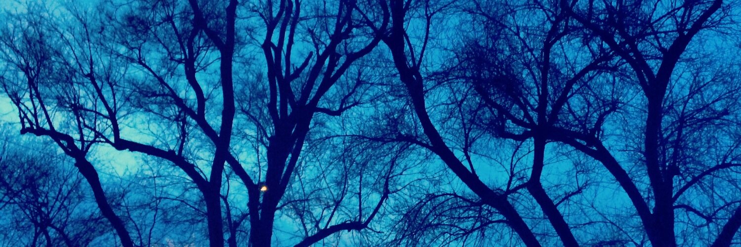 FebaDesign's profile banner image