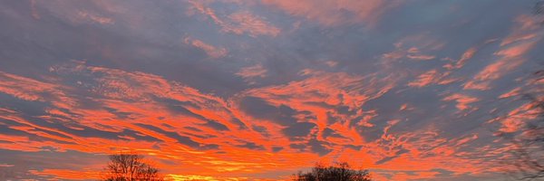 Rosinnjo Profile Banner