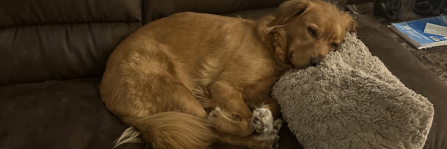 Matthew Prussky - Mr. Perfectly Fine banner