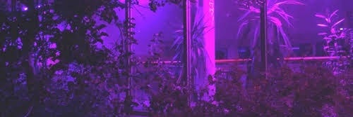 atpsthetic's profile banner image