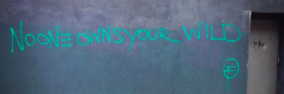 Ashley Van Buren banner