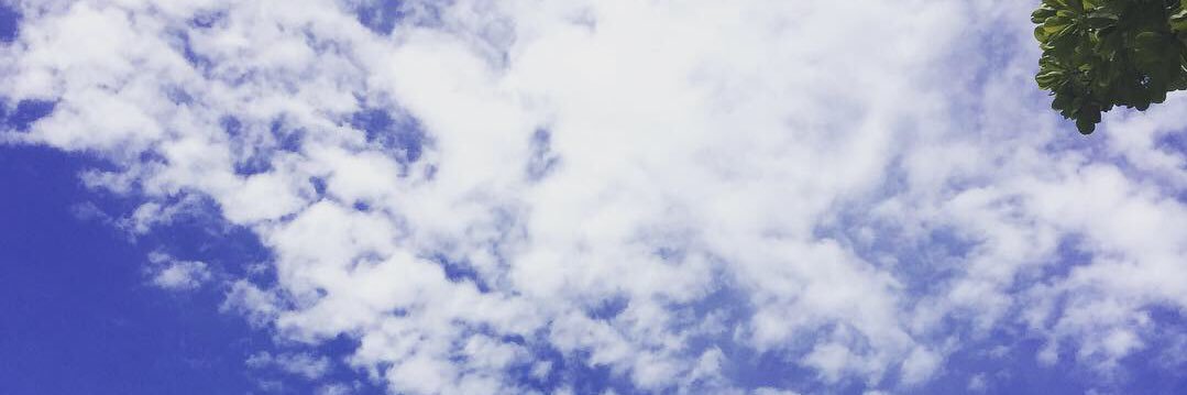 nptttt's profile banner image