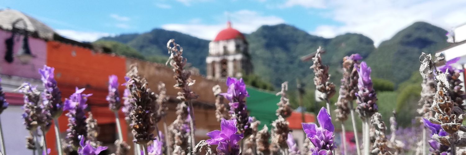 Abby_More's profile banner image
